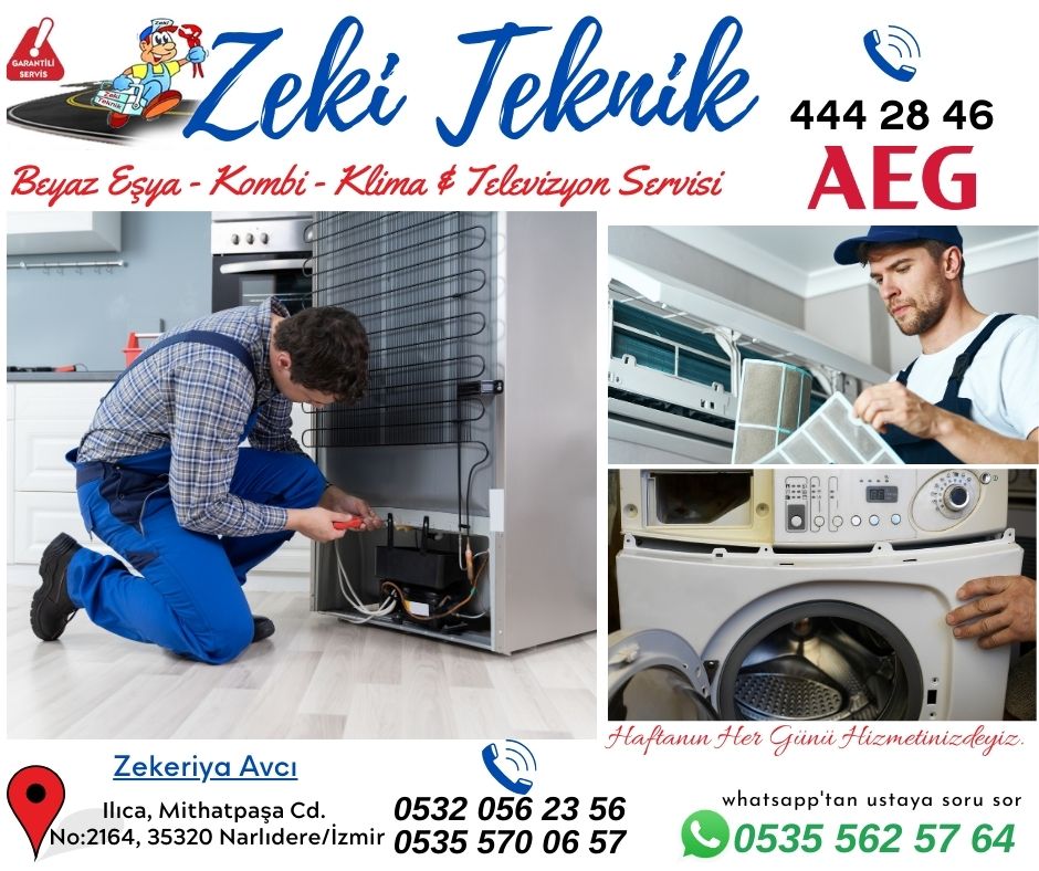 Narlıdere AEG Servisi